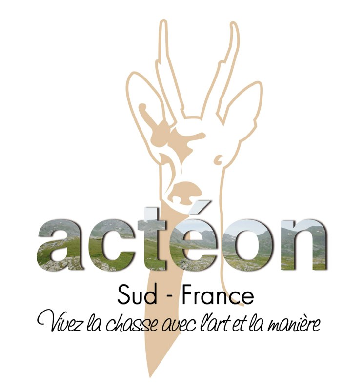 logo-ACTEON
